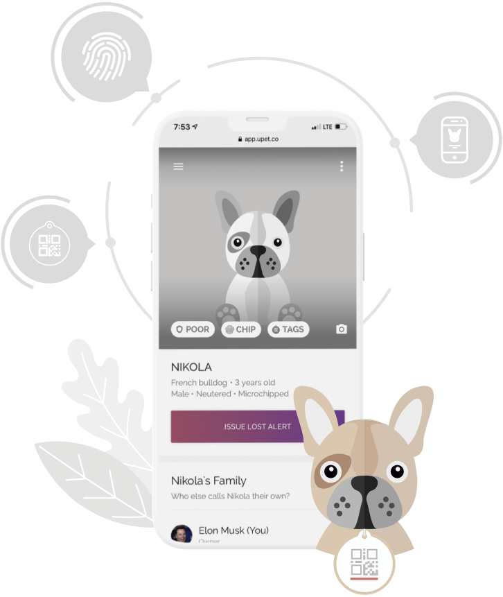 Illustration of the uPet pet profile app inside a phone.