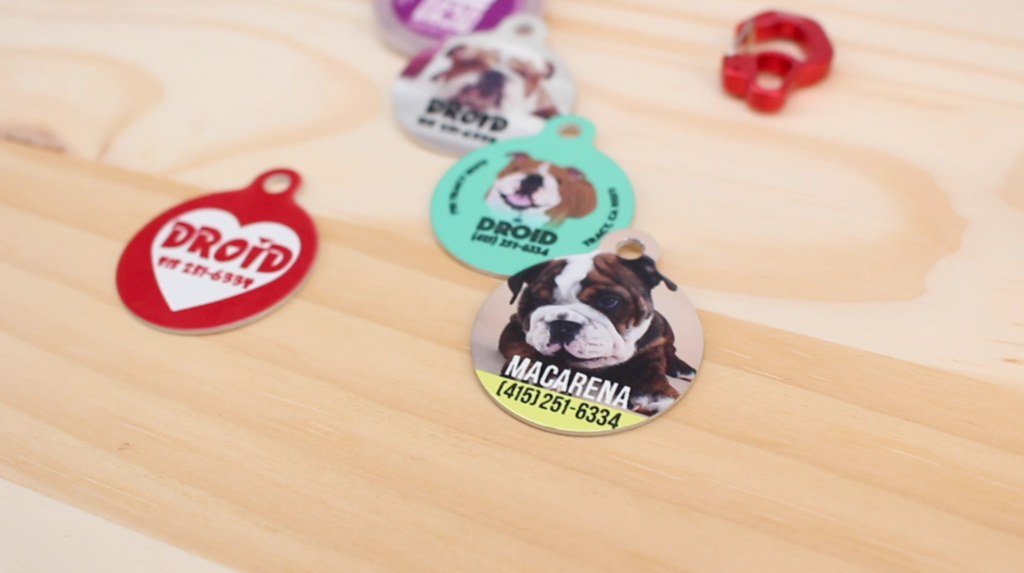 Create your own Dog Id Tag